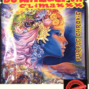 Down 2 Earth Purple Chronic Herbal Incense 10g